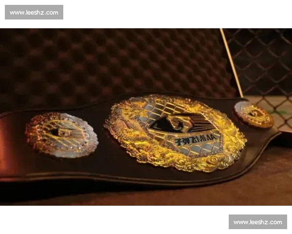 菲多对阵祖鲁金霍的力量差距与格斗传奇瞬间回顾赛事背景技术解析